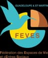 Logo FEVES